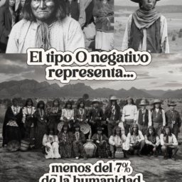 08d70abc7178e205b1c39f57de62b8a4.jpg